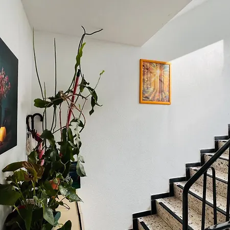 T&t Panorama * Blaustein